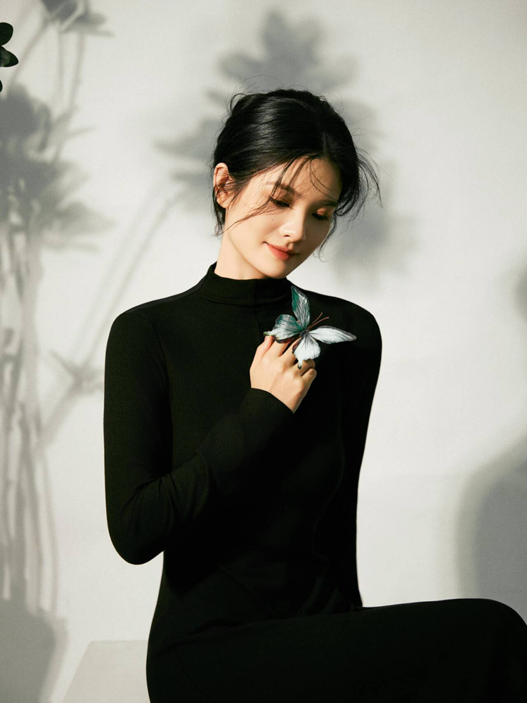 Photography Lighting Mood - New Simple Chinese Style High-End Black