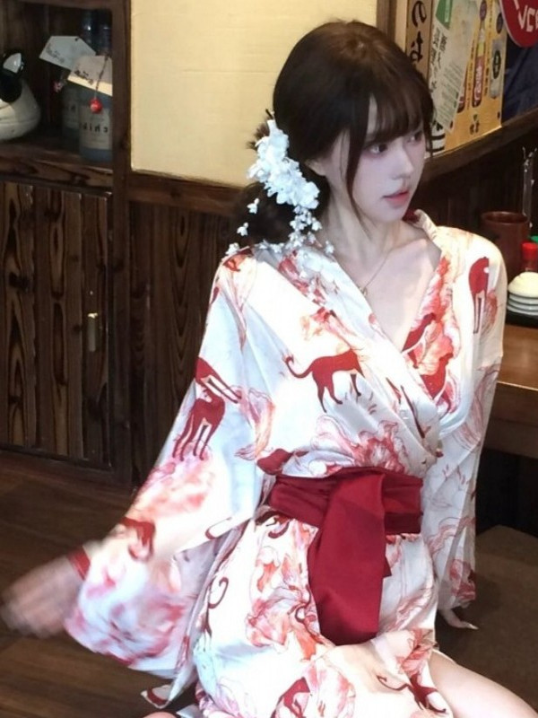 New Chinese Style Sleepwear Ha - Photography Lighting recension och pris