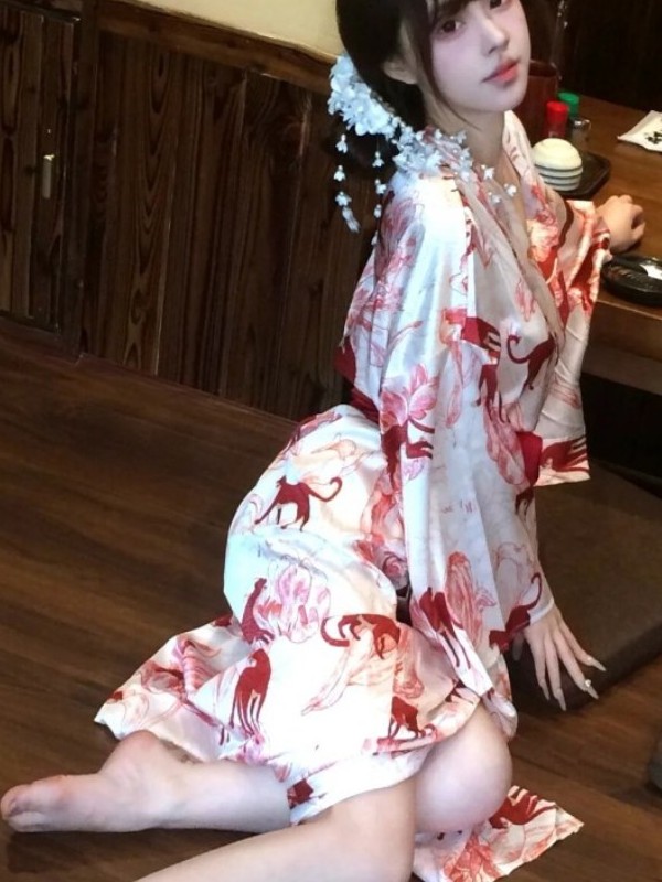 New Chinese Style Sleepwear Ha - Photography Lighting recension och pris