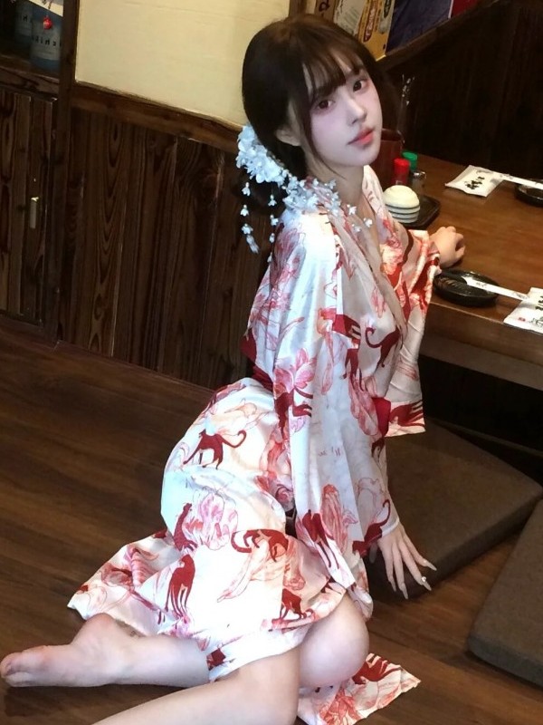 New Chinese Style Sleepwear Ha - Photography Lighting recension och pris