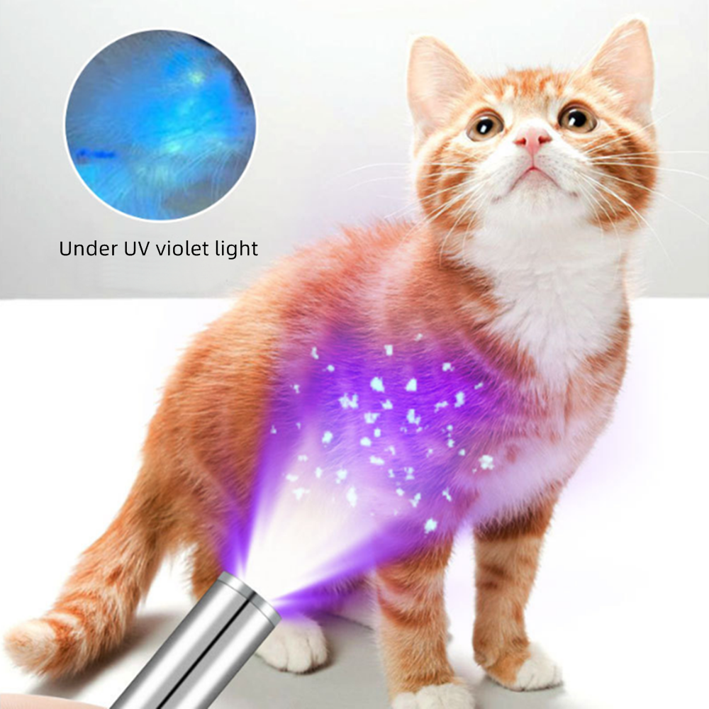 365nm UV Black light Pen Flash - Photography Lighting For Food recension och pris