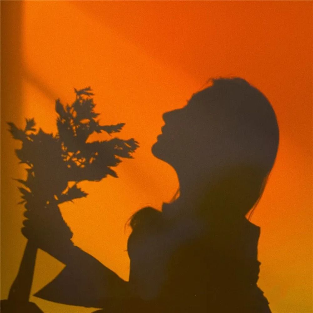 Mood Lighting RGB Sunset Lamp  - Photography Lighting Mood recension och pris