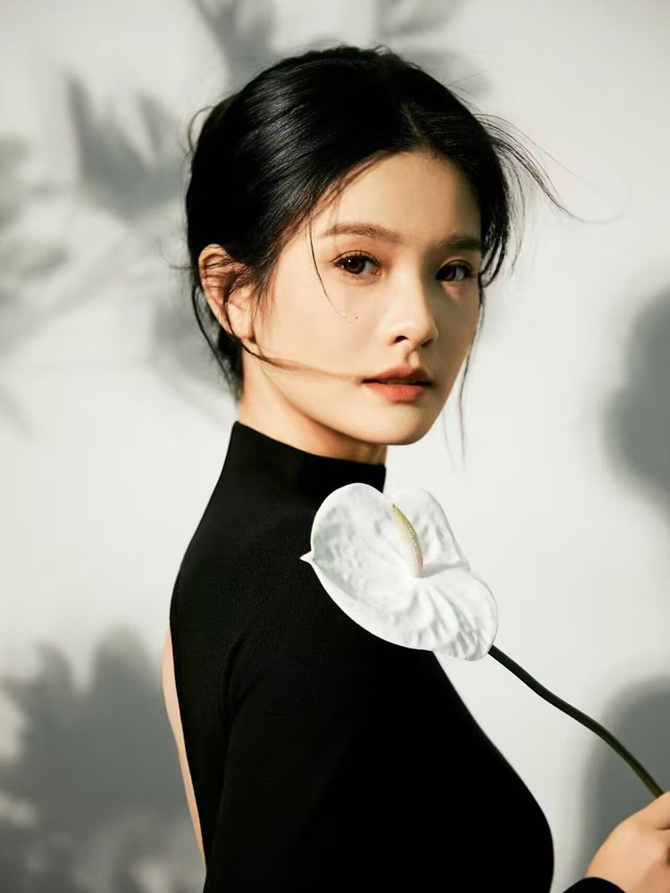 New Simple Chinese Style High- - Photography Lighting Mood recension och pris